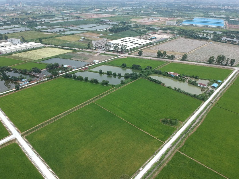 博羅縣石灣鎮(zhèn)鐵場村、白沙村現(xiàn)有耕地提質改造項目